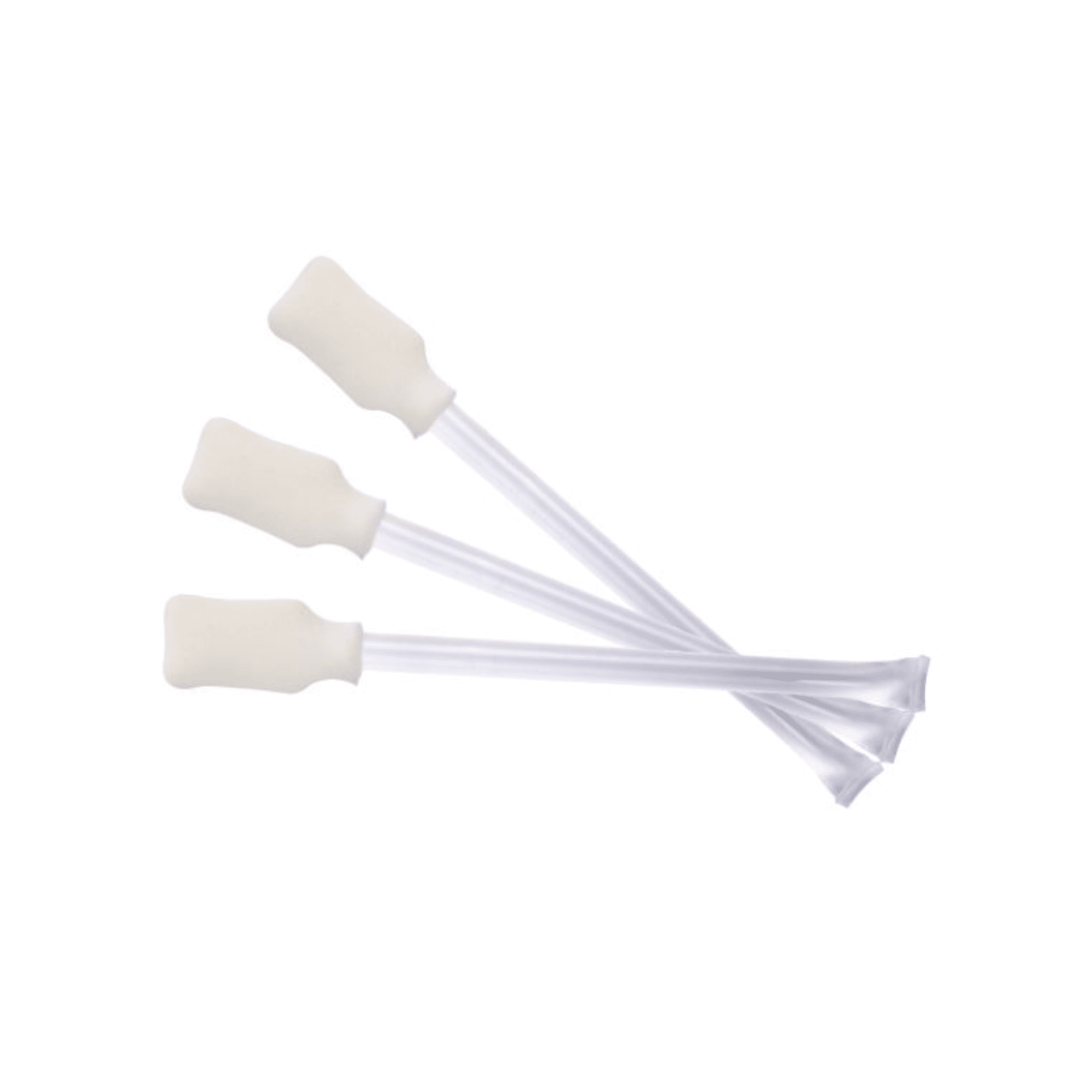 Evolis Dry Swab for Avansia Printer